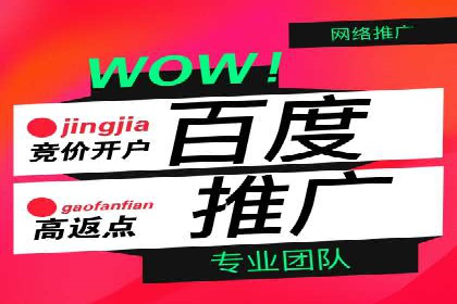 案例教学：轻松掌握竞价推广方法